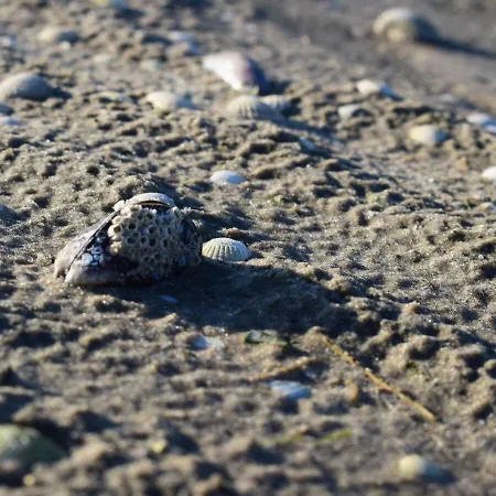 Kommodig No. 3 別荘